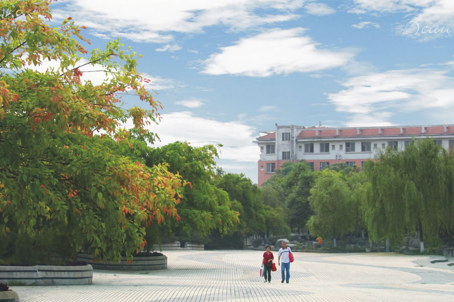 四川東辰教育管理集團(tuán)有限公司